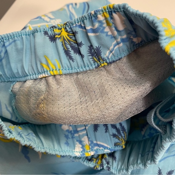 Patagonia Womens 2.5” Barely Baggies Shorts C Street Garden Blue Print - Picture 5 of 8